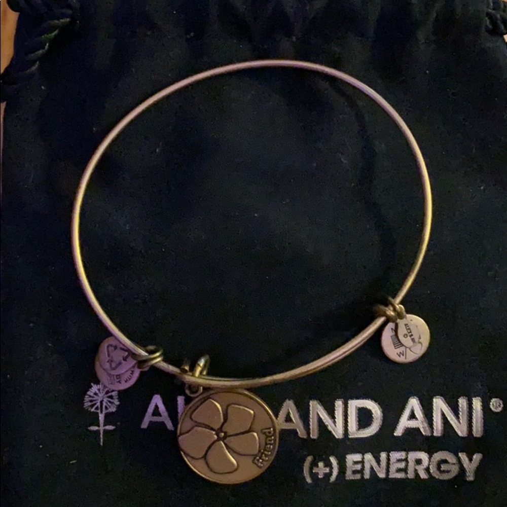 Alex and ani bracelet